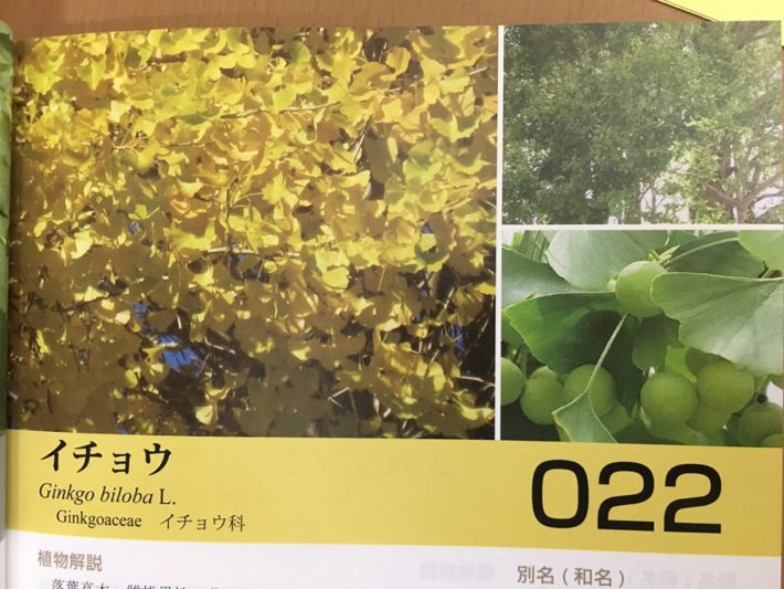 高知県有用植物ガイドブック